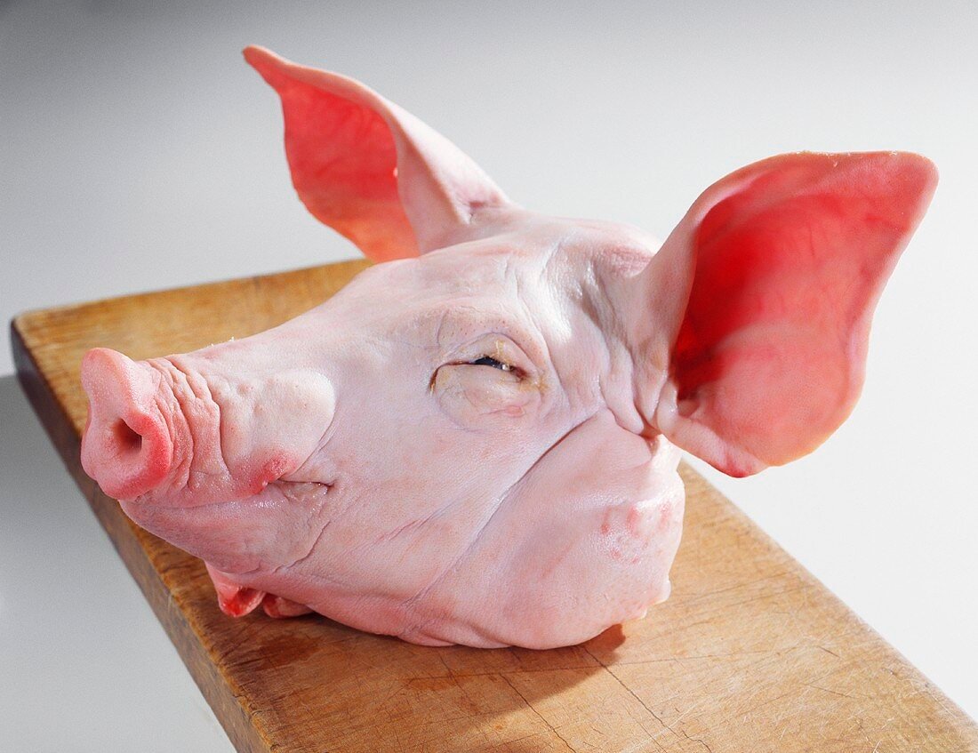 Frozen Pork head